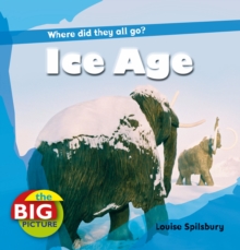 Image for Ice Age