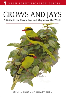 Image for Crows and jays