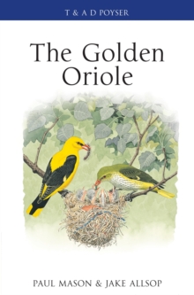 Image for The Golden Oriole