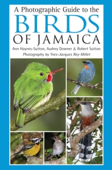 Image for A photographic guide to the birds of Jamaica