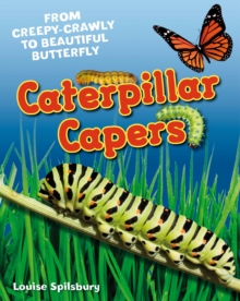 Image for Caterpillar Capers