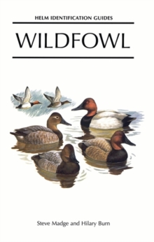 Image for Wildfowl: An Identification Guide to the Ducks, Geese and Swans of the World