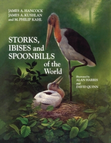 Image for Storks, ibises and spoonbills of the world