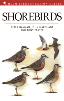 Image for Shorebirds: an identification guide to the waders of the world