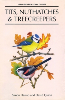 Image for Tits, nuthatches & creepers