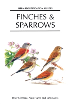 Image for Finches & sparrows