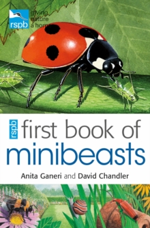 Image for RSPB first book of minibeasts