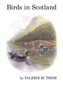 Image for Birds in Scotland