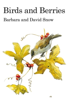 Image for Birds and Berries