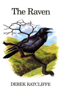 Image for The Raven: A Natural History in Britain and Ireland