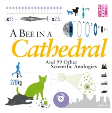 Image for A Bee in a Cathedral