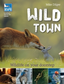 Image for Wild town  : wildlife on your doorstep