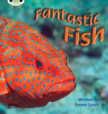 Bug Club Phonics – Phase 4 Unit 12: Fantastic Fish