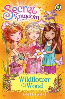 Image for Secret Kingdom: Wildflower Wood