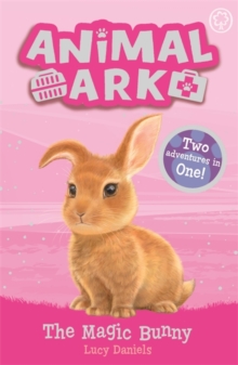 Image for Animal Ark, New 4: The Magic Bunny