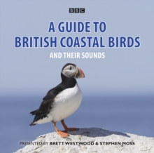 Image for A Guide To British Coastal Birds