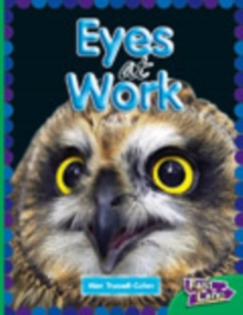 Image for All About Eyes at Work Fast Lane Emerald Non-Fiction