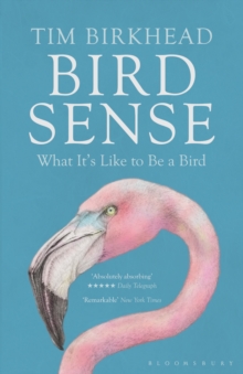 Image for Bird sense: what it's like to be a bird