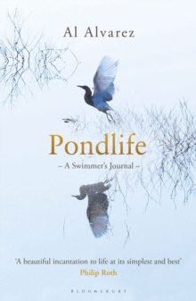 Pondlife: A Swimmer’s Journal