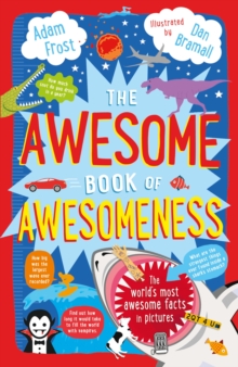 Image for The awesome book of awesomeness
