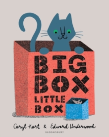 Image for Big Box Little Box