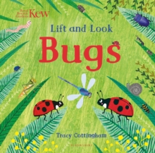 Kew: Lift and Look Bugs