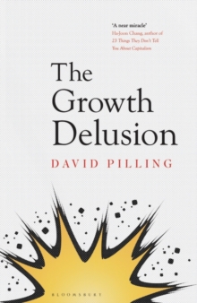 Image for The growth delusion  : the wealth and well-being of nations