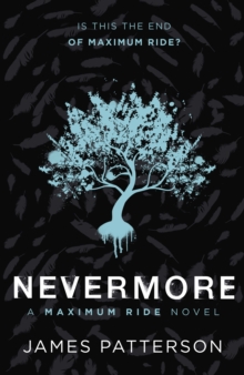 Image for Nevermore: the final Maximum ride adventure