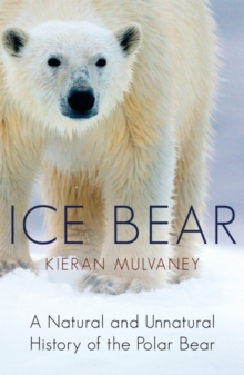 Image for Ice bear: a natural and unnatural history of the polar bear