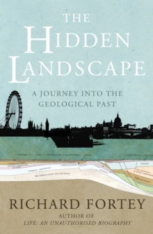 Image for The hidden landscape: a journey into the geological past