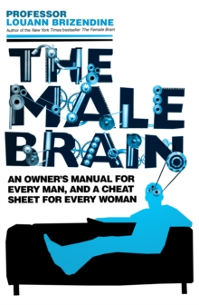 Image for The male brain