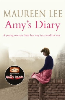 Image for Amy's Diary