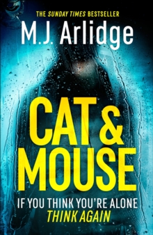 Image for Cat And Mouse