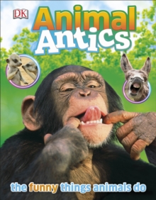 Image for Animal antics