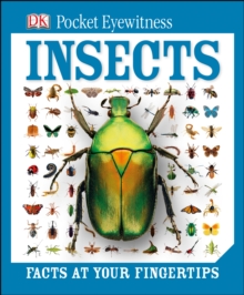 Image for Insects  : facts at your fingertips