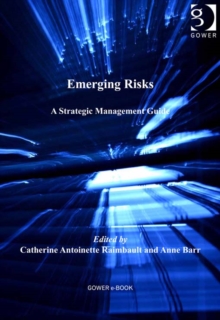Image for Emerging risks: a strategic management guide