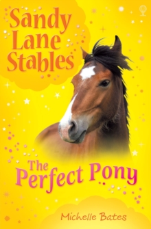 Image for The perfect pony