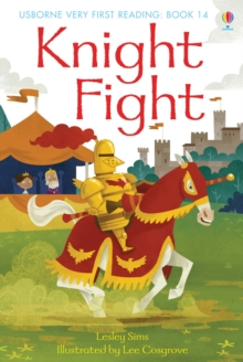 Image for Knight fight