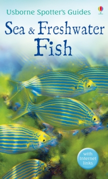Image for Sea & freshwater fish