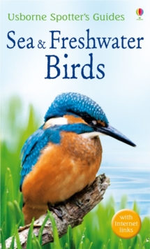 Image for Sea & freshwater birds