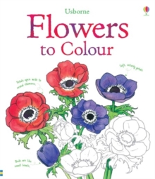 Image for Flowers Colouring Book