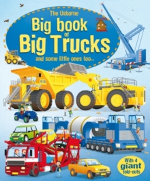 Image for The Usborne big book of big trucks
