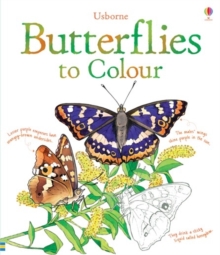 Image for Butterflies to Colour