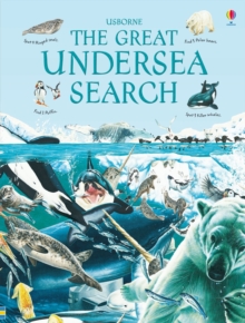 Image for The great undersea search
