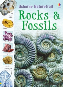 Image for Rocks & fossils