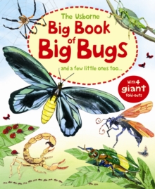 Image for Big Book of Big Bugs