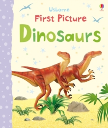 Image for Usborne first picture dinosaurs