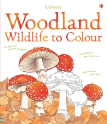 Image for Woodland Wildlife to Colour