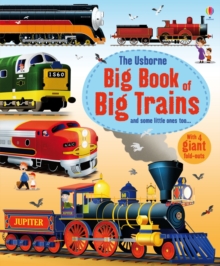 Image for The Usborne big book of big trains