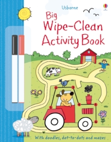 Image for Big Wipe Clean Activity Book